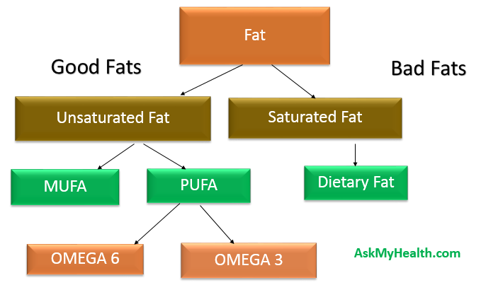 what-are-saturated-unsaturated-dietary-trans-fats-basics-and-facts