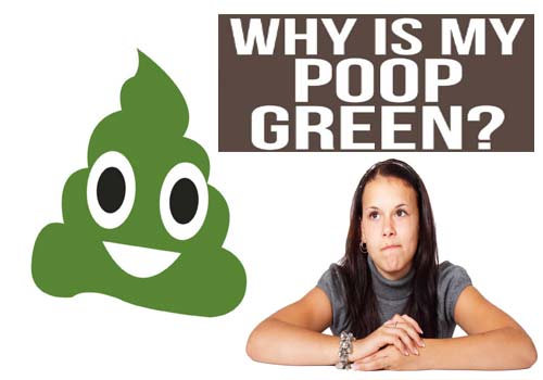 Green did. What does Green poop mean. Green why ава. Green poop reasons.