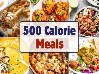 500 calorie meals