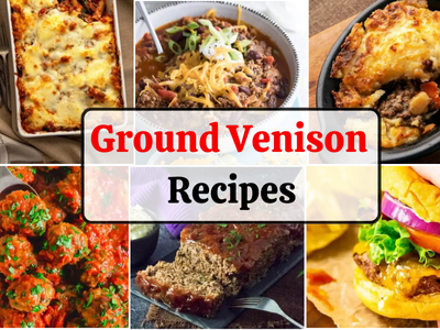 ground venison recipes