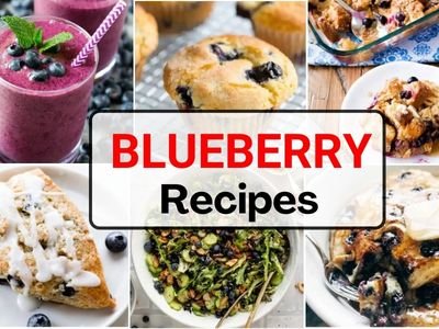 25 Irresistible Blueberry Recipes to Sweeten Your Day